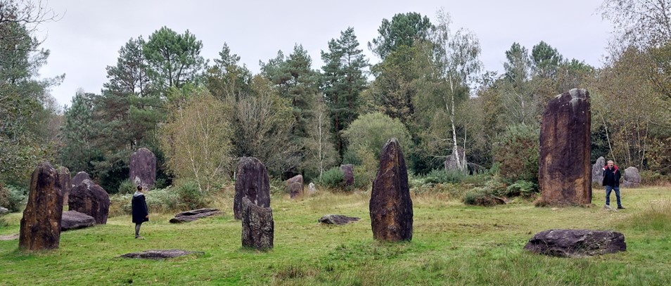 several tall menhirs in a forest clearing